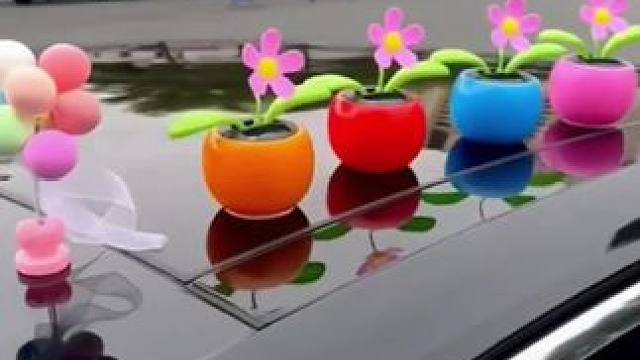 #高端大气#寓意美好！！美好心情需要美好事物来治愈，自动摇摆的苹果太阳花，看着心情就很愉快  很哇塞