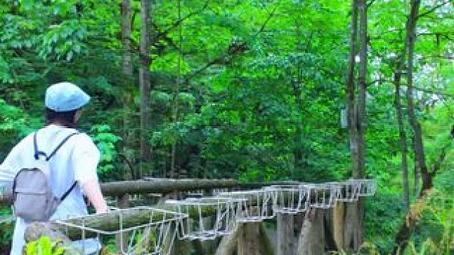 26度的山野徒步之旅，奖牌持续发放中，欢迎来打卡哦～#徒步旅行 #夏日出逃指南 #暑期遛娃好去处 #