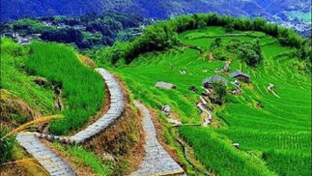 层层绿浪翻涌似刺绣，整座山谷宛如碧玉绒毯，美不胜收。丽水云和梯田。