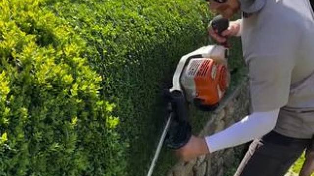 舒爽技艺高超的园林绿化修剪！ #园艺生活 #绿化工程 #解压 #解压视频 #极度舒适