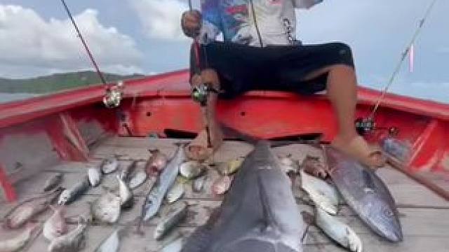 丽贝岛张苹果 丽贝岛海钓的日常情况。