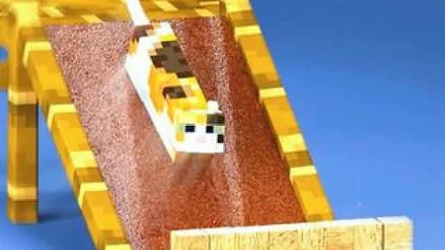给小猫咪建造滑梯让它开心的玩耍 #我的世界