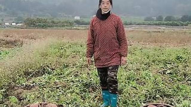 山卡卡里的农村大姐学费了开直播每天收获满满您还在恐播怕播不敢开播开播了不知说什么吗#记录真实生活 #