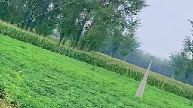 #田间地头走一走 #最美乡村风景 #美丽的家乡田园风光 #乡村小路 #风景优美空气清新