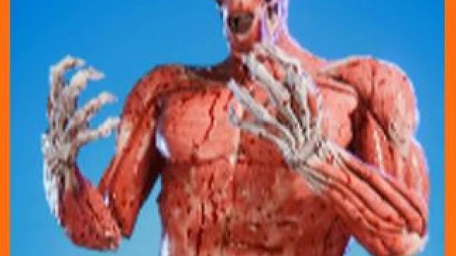 天然弱碱苏打水，这个价价格到手12瓶还都是大瓶装，价格自己看#苏打水 #夏日饮品