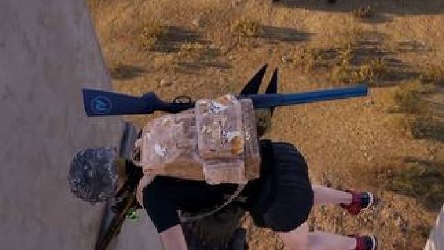 扛人大跳 屏幕前的你觉得我做的对吗？#吃鸡 #绝地求生 #散人浪子