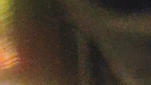 生活不易，且行且珍惜