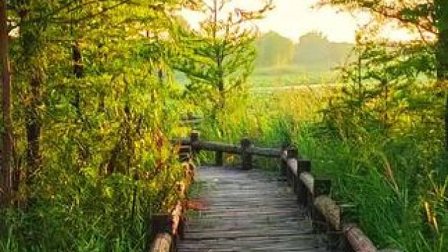 #风景如画的地方 ！