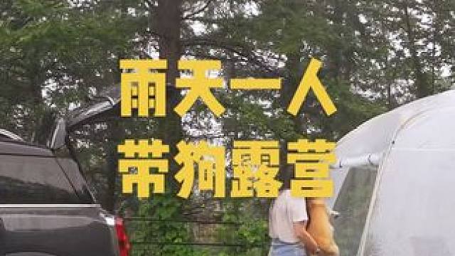 雨天一人带狗体验沉浸式露营#沉浸式体验