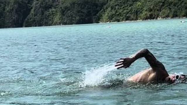 #自由泳 #自由泳入门  自由泳基础了解一下，一看就会 0 0