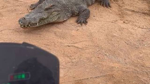 总有那么一个想挑战我的极限#非专业人士请勿模仿