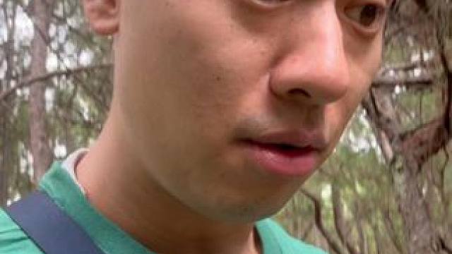 我不潜水的时候在干嘛 #云南人 #采菌子