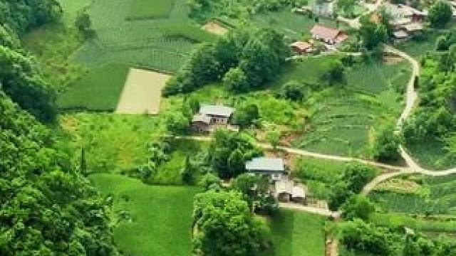 这是川西阿坝州汶川县绵虒镇草坡片区金波村的戴家湾#乡村风景 #记录家乡变化 #台地文明 #山青水秀好