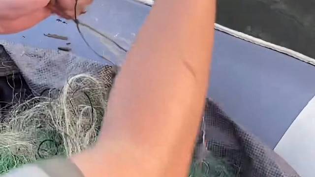 #户外捕鱼大队 #捕鱼河边随拍 #捕捞现场  #丝网捕鱼