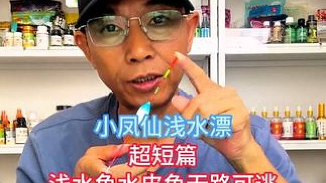 小凤仙浅水漂超短篇浅水鱼水皮鱼无路可逃，短尾断涂式硬尾水晶尾 小凤仙浅水漂超短篇浅水鱼水皮鱼无路可逃