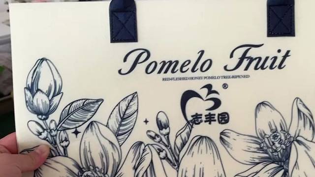 城邦高端定制毛毡包