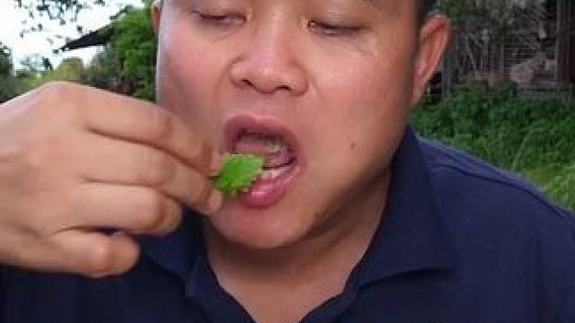 小苦瓜鲜辣️毛肚凉拌米粉 #创作人计划 #泰国大叔#泰国美食#内容启发搜索#种草激励计划