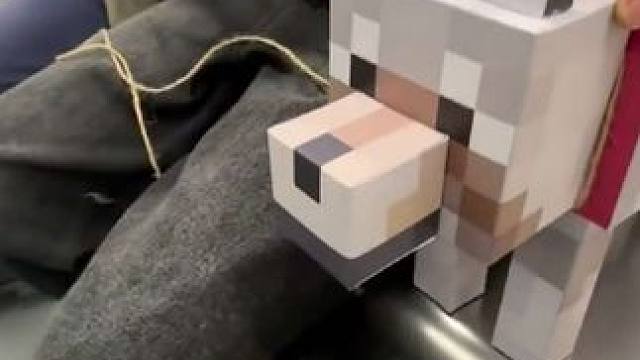 有狗了！！ #我的世界 #立体折纸 #玩个很新的的东西 #抽象