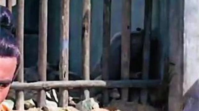 #西瓜视频 点击上方（红色按钮） 可看完整版 大结局太精彩了...《西瓜视频》，观看精彩后续《西瓜视