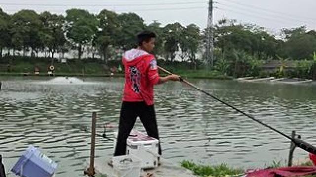 一包料钓三场他也不空军啊。#钓鱼 #钓鱼人 #户外钓鱼 #垂钓 #钓大鱼