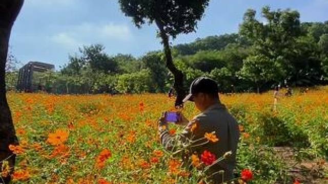 “夏已尽，秋已至。希望这个秋天的秋风不燥，岁月静好，我们都平安顺遂，愿一切美好都如期而至。”秋天看到