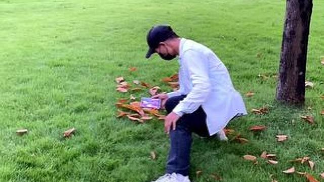 秋天的落叶试试这样拍 #手机摄影 #拍摄技巧 #落叶 #治愈系风景