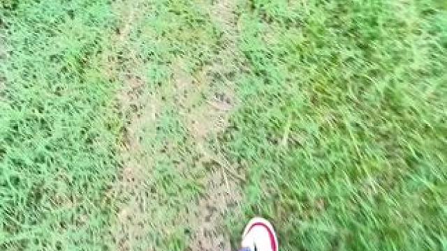 喝完汤，俺妈就叫我上地 看瓜
我们穷极一生追求的自由和快乐，原来从小就拥有了；老家，胜过一切所有的风