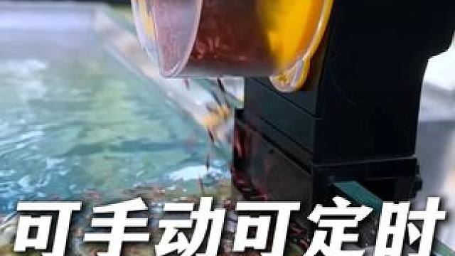这个自动喂食器特别适合经常出差或偶尔家里没人的情况， 能按时按点自动给鱼儿喂食。#喂鱼 #自动喂食器