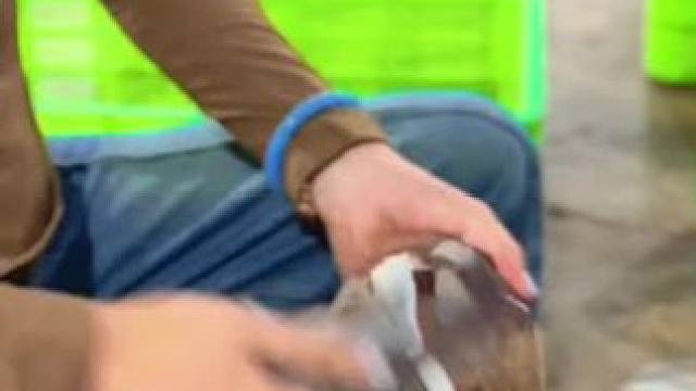 我发布了一个新视频，快来围观吧！