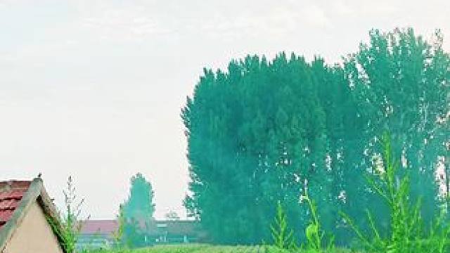 #农村生活 #山村行#走进沂源，大张庄镇之行(2)大张庄镇，隶属于山东省淄博市沂源县，地处沂源县城西