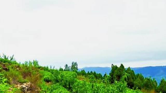 #农村生活 #田间地头走一走 #走进沂源，大张庄镇之行(1)周末应朋友之约，我来到蓝天碧水的美丽沂源