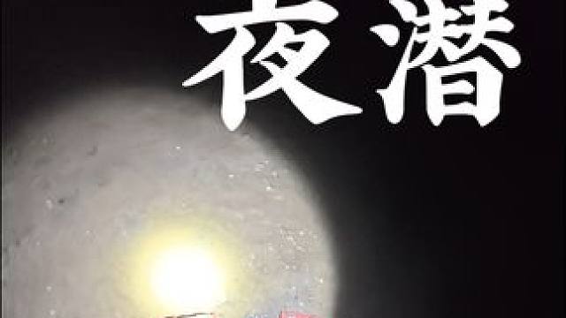 潜水 唐岛湾赶海娱乐～#潜水 #游泳 #唐岛湾赶海