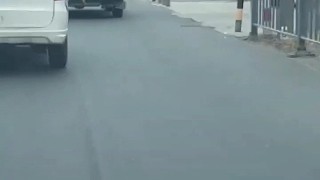 草。仿佛看見了小時候的我。吊車尾的家伙[捂臉]