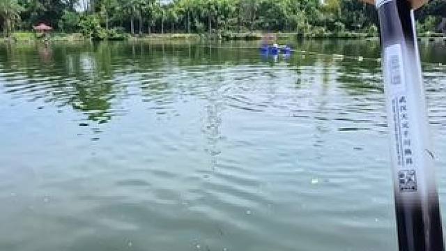 自制线组水皮钓大青#户外钓鱼 #青鱼钓法教学