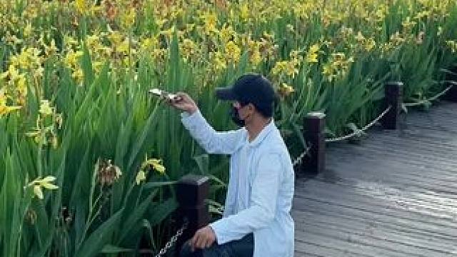 看到美人蕉试试这样拍太美了#手机摄影 #拍摄技巧 #随手一拍都是美景 #治愈系 #治愈系风景