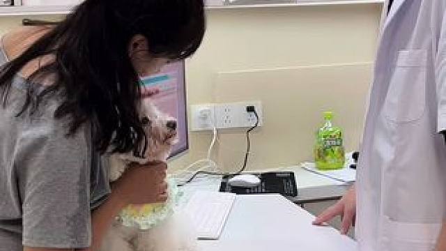 兴化的宠物店居然这么权威了 #宠物店 #新手养宠 #宠物