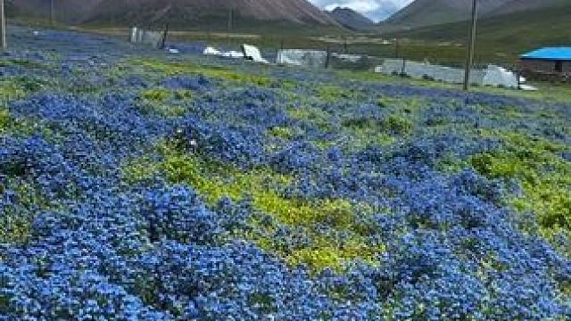 我发布了一个新视频，快来围观吧！