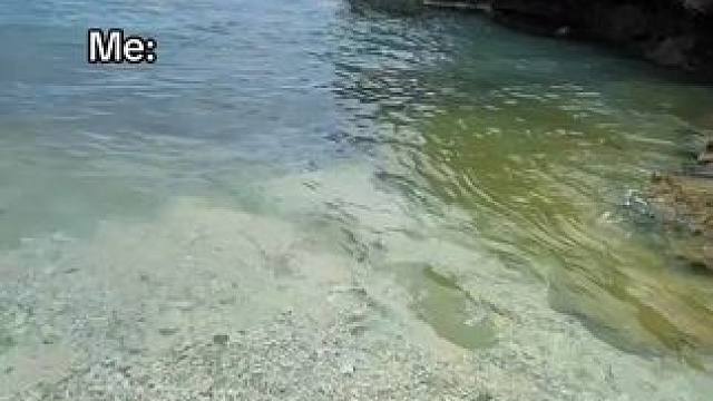 你以为是一支钢笔，其实是。。 #鱼竿 #玩个很新的东西