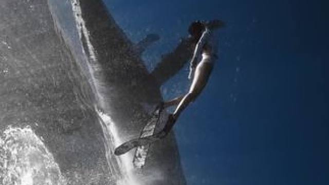 变天了！今年的汤加不再是人追鲸！鲸鱼开始追着人跑了哈哈哈哈
#自由潜 #潜水女孩 #汤加 #潜水 #