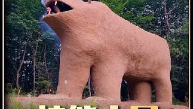 这样的庇护所保管任何野兽来都得挠头离开#野外建造 #户外露营 #庇护所建造#荒野建造 #解压