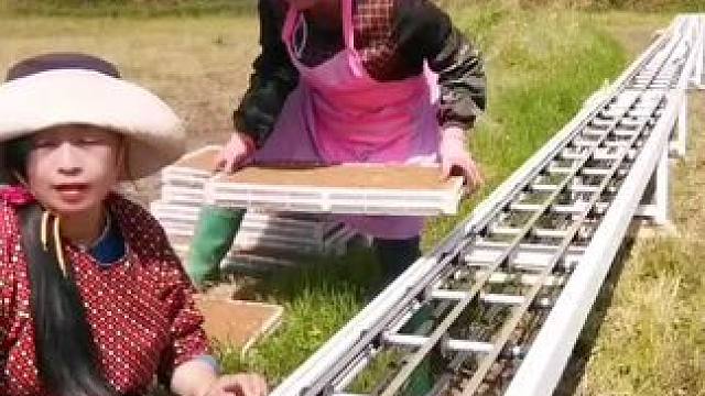 山卡卡里的农村大姐学费了开直播每天收获满满满您还在恐播怕播不敢开播开播了不知说什么吗#记录真实生活 