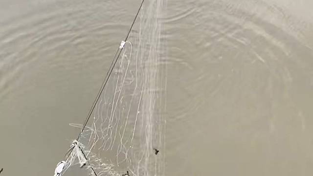#户外捕鱼大队 #捕鱼河边随拍 #捕捞现场  #丝网捕鱼