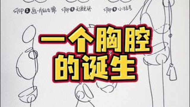 一个胸腔的诞生 #零基础学画画 #画画 #人体结构 #procreate