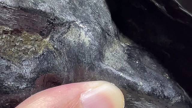 莫湾基开干。大家猜猜涨还是垮。