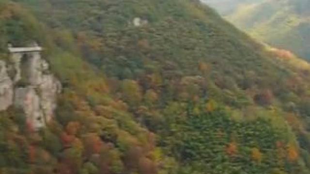 赤水为邻，丹山作伴！溯溪、赏石、走天桥！#四明山 #丹山赤水 