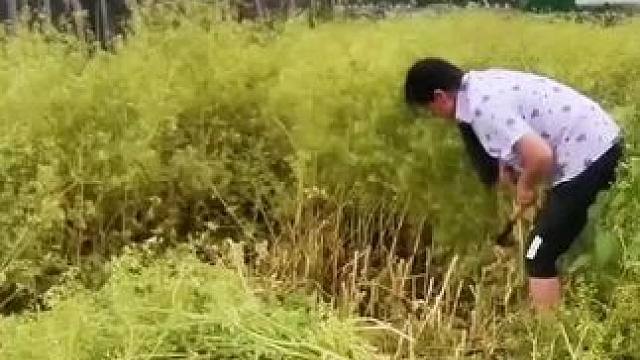 山卡卡里的农村大姐学费了开直播每天收获满满您还在恐播怕播不敢开播开播了不知说什么吗#记录真实生活 #