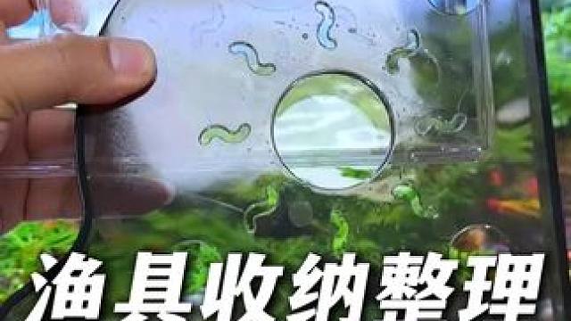这个鱼缸转角置物架用料扎实、方便耐用，让鱼缸看起来美观整洁！ #鱼缸置物架 #鱼缸 #养鱼 #水族用
