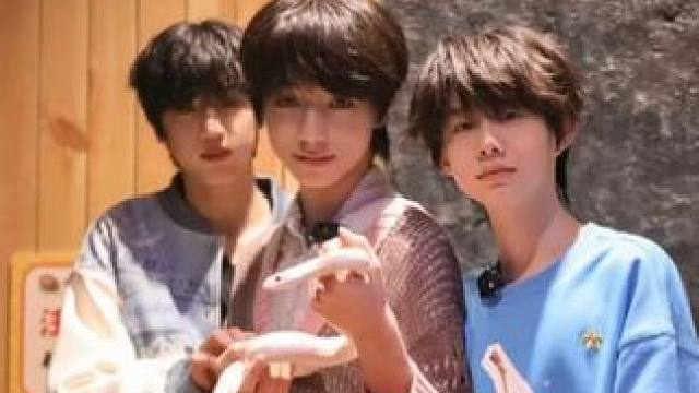 这个TF四代已经帅得不知天地为何物了#张桂源 #陈奕恒 #王橹杰 #TF四代 #tf家族四代