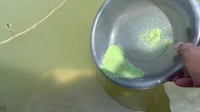 上鱼速度牛不牛#测试 #钓鱼的乐趣只有钓鱼人懂 #钓鱼人就是这么疯狂 #钓鱼 #钓鱼技巧