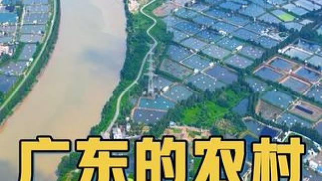 珠三角地区不全是大厦和工厂，高空鸟瞰逢简水乡，顺德竟然为广东私藏了这般震撼的桑基鱼塘。#航拍最美家乡